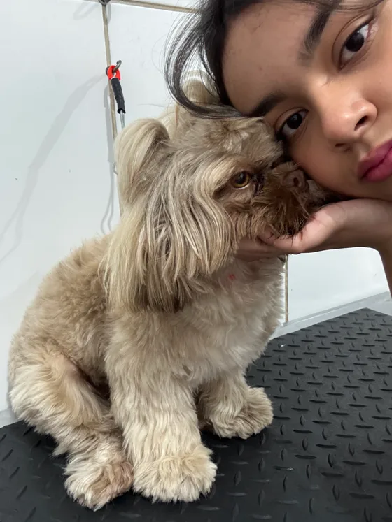Luiza junto de um pet dourado no consultório